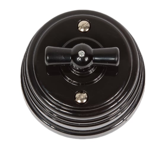 Изображение товара Выключатель МЕЗОНИНЪ пластиковый проходной 2 положения, цвет - черный GE30404-05