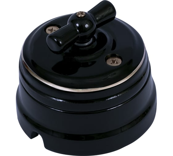 Изображение товара Выключатель МЕЗОНИНЪ проходной поворотный 2 положения, цвет- платина на черном GE70404-52