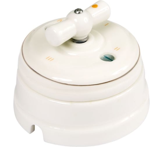 Изображение товара Выключатель МЕЗОНИНЪ проходной поворотный 2 положения, цвет- платина на белом GE70404-49