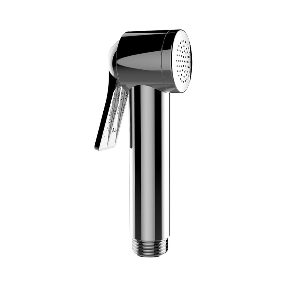 Изображение товара Гигиеническая лейка Bossini Apice хром B00920.030 компактная и стильная