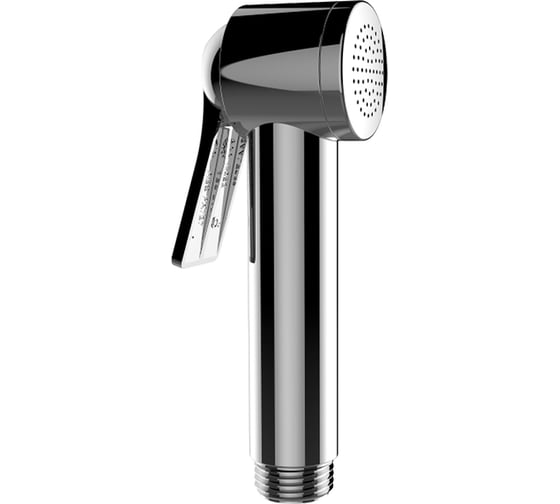 Изображение товара Лейка гигиеническая Bossini Apice хром B00920.030