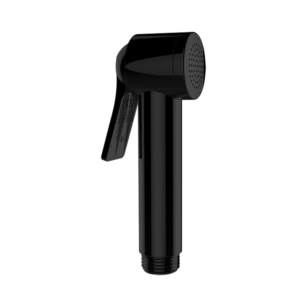 Изображение товара Гигиеническая лейка Bossini Apice чёрная матовая 1 режим B00920.073