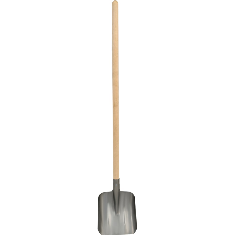 SH-01