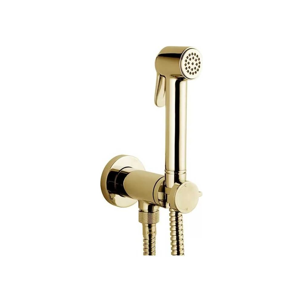 Изображение товара Гигиенический комплект Bossini Paloma Brass Mixer Set с душем золото