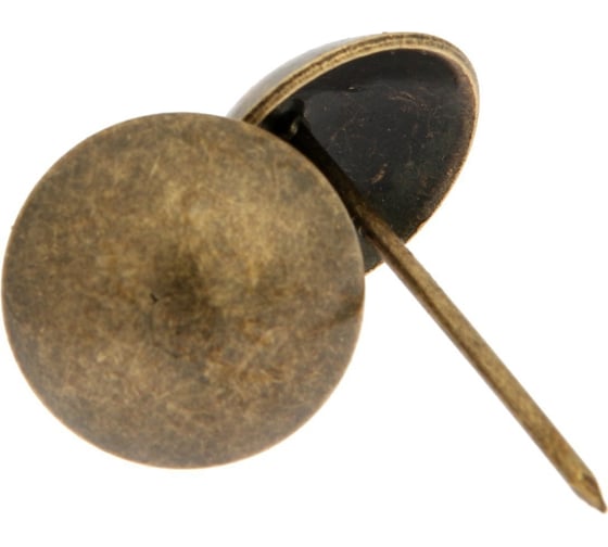 Изображение товара Гвозди декоративные ТУНДРА 25x39 мм, бронза, 100 шт. 9609071