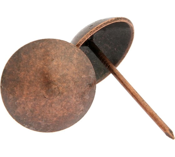 Изображение товара Гвозди декоративные ТУНДРА 25x39 мм, медь, 100 шт. 9609072