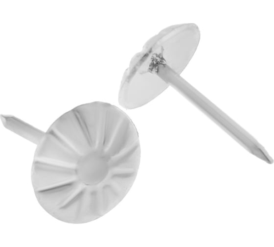 Изображение товара Гвозди декоративные ТУНДРА фактурные, 11x16 мм, хром, 50 шт. 9743700