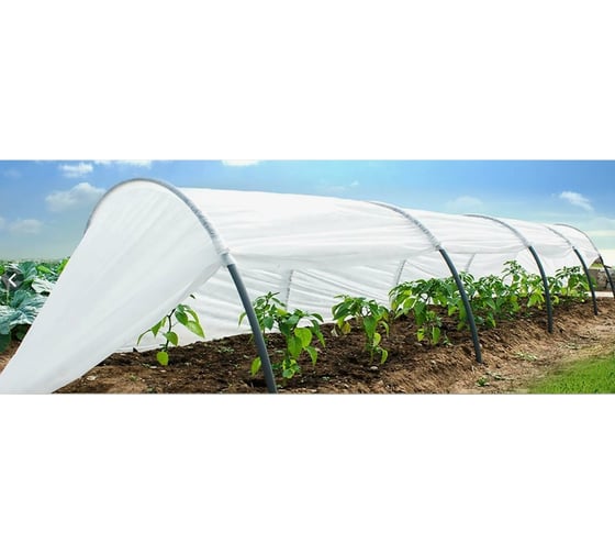 Изображение товара Сменный чехол Для парников 2.1х6.5 м ЧЗМ 2483