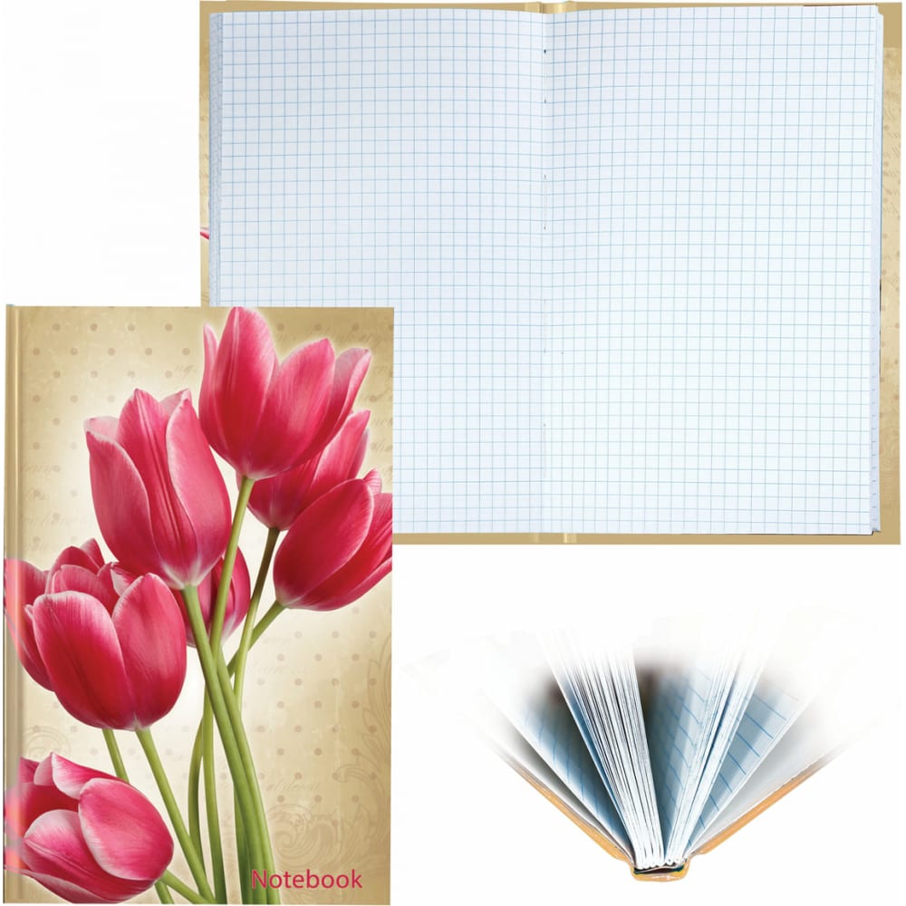 Блокнот BRAUBERG дневник для 1 4 классов к знаниям твердая обложка 7бц глянцевая ламинация 48 листов