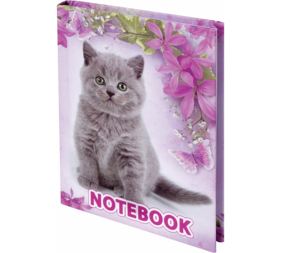 Изображение товара Блокнот BRAUBERG 110 х147 мм, А6, 80л, тверд. переплет, клетка, выборочн. лак, Котята, 122192