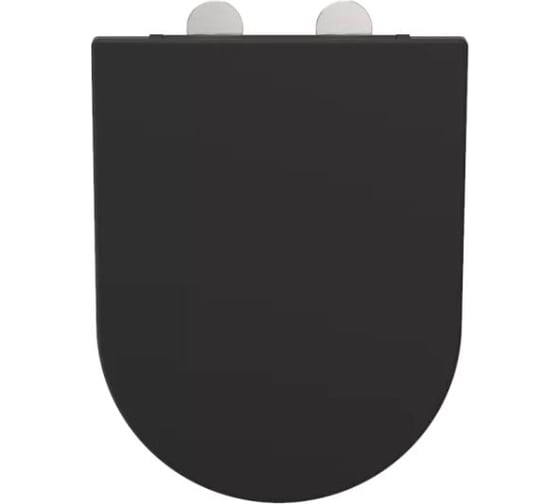 Изображение товара Сиденье для унитаза Weltwasser WW 2049 MT- BL черное матовое 10000006082