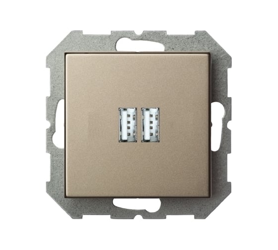 Изображение товара Розетка LIREGUS зарядка usbх2 Эпсилон IUK-2-01 E/Ch шампань без рамки 28-3242