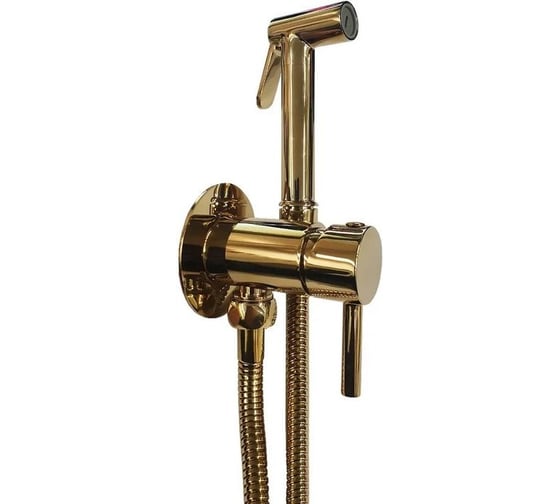 Изображение товара Набор гигиенического душа Paffoni ZDUP110HG 00239670