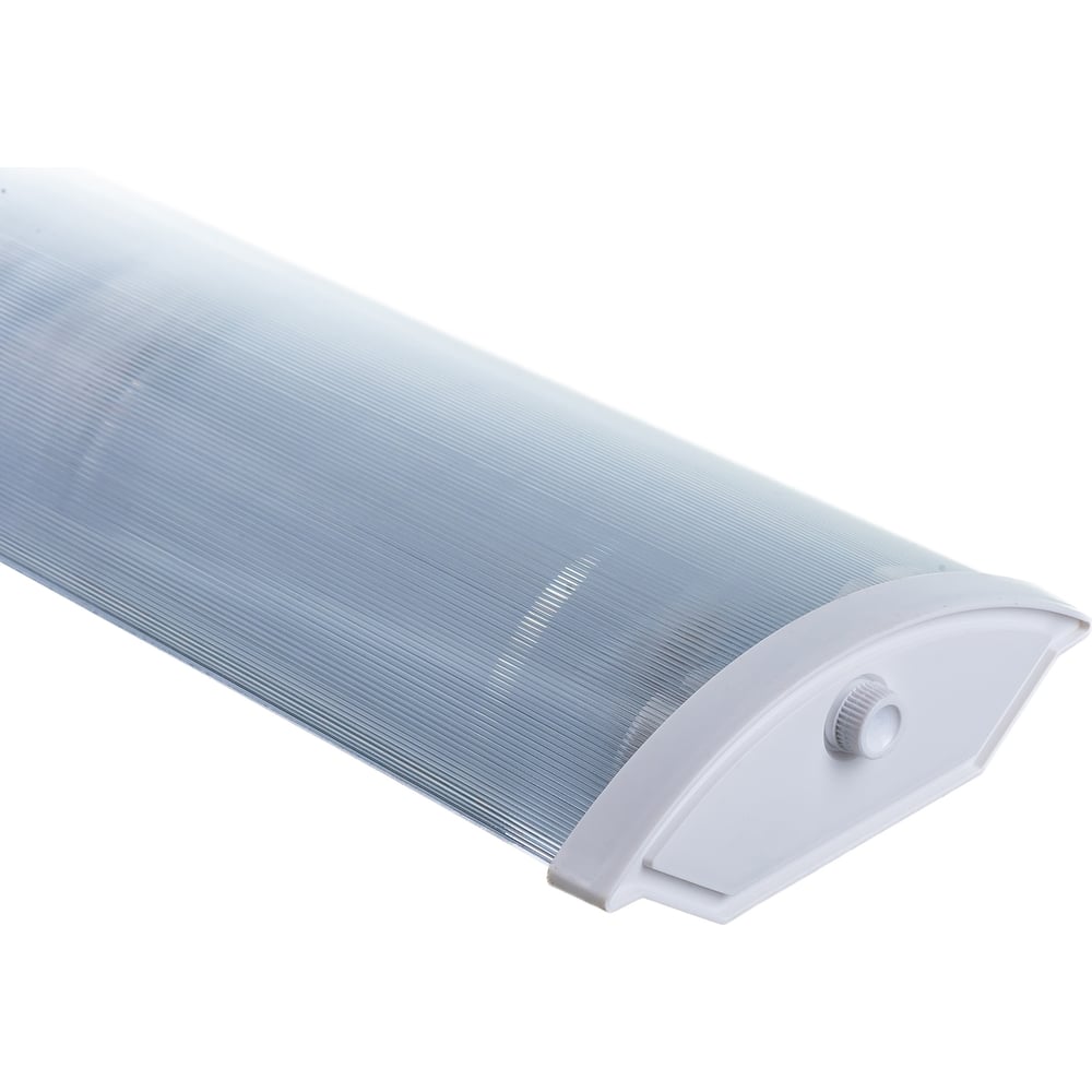 Изображение товара Светильник ЭРА ДПО 11-2х10-001 настенный потолочный IP40 светодиодный 2 лампы T8