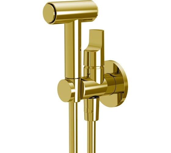 Изображение товара Душ гигиенический Fima Carlo Frattini: умный смеситель, встр. держатель, лейка - душ/гидроёршик, шланг из нерж. стали 1200 мм, вн. часть, цвет золото F2320/4OR