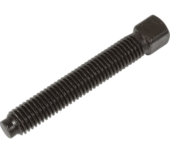 Изображение товара Винт установочный ЦКИ DIN 479, М10х60 8.8, Б/П, S10, 2 шт. 74830