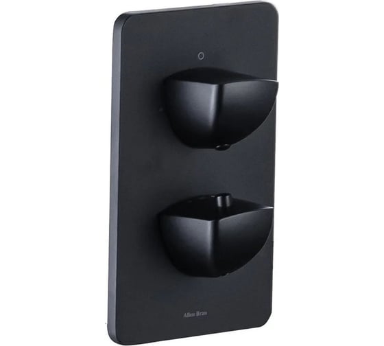Изображение товара Термостат ALLEN BRAU 5.21116-31 INFINITY V.1 Vernet без дополнительного оборудования, Easy box, чёрный матовый 00314376