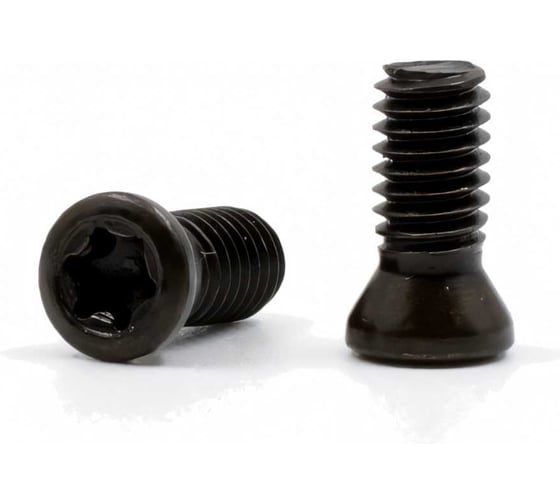 Изображение товара Винт для крепления пластин M4x10 Deskar 00-00035199