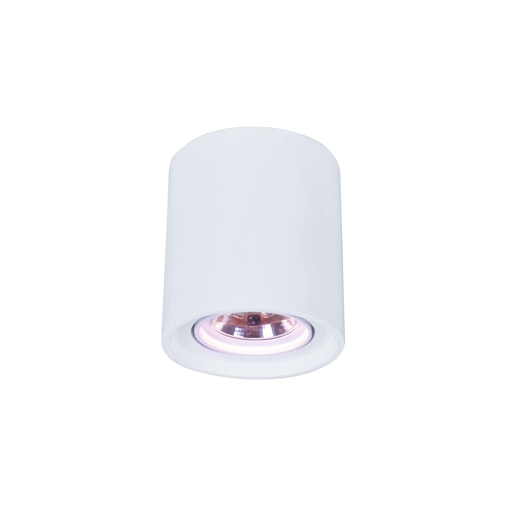 фото Потолочные поворотный светильник arte lamp a9262pl-1wh