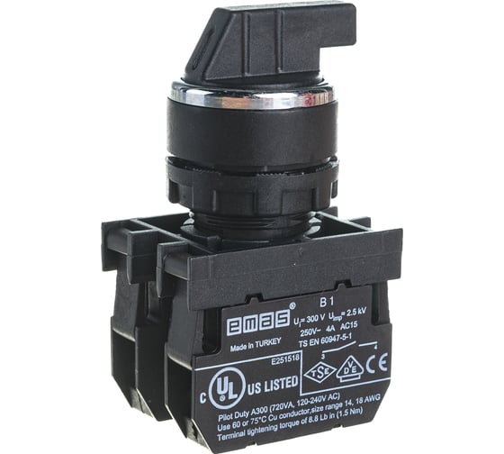 Изображение товара Переключатель Emas серия B, 2-0-1, с фиксацией, 2НО, 250В AC, 4 А B101S30