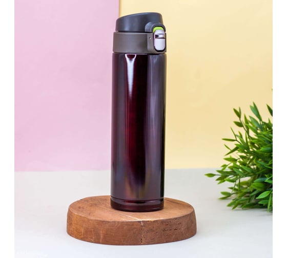 Изображение товара Термос ilikegift Everyone, brown, 500 мл BWH813-04