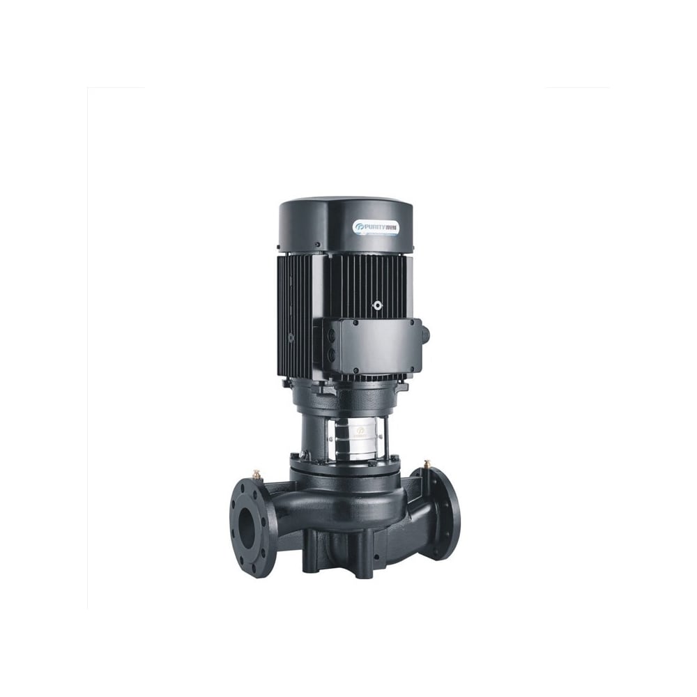 Изображение товара Циркуляционный насос Purity PTD100-27/2 (N) для отопления и ГВС 11 кВт