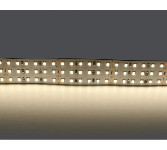 Изображение товара Лента Lightstar белого свечения 24V 423004