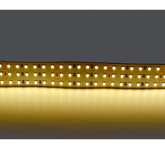 Изображение товара Лента Lightstar теплого белого свечения 24V 423003