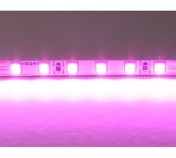 Изображение товара Лента Lightstar цветного свечения 24V, розовый 420512