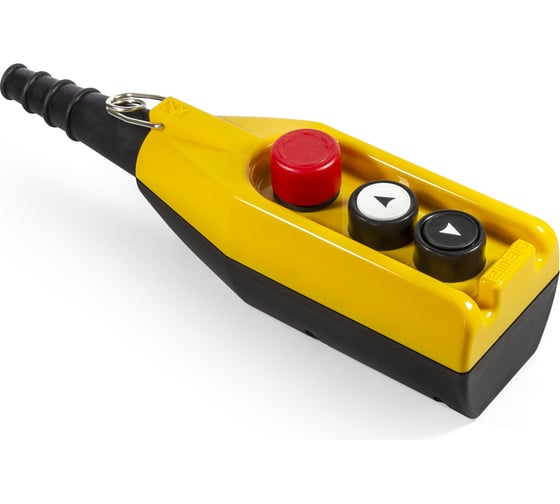 Изображение товара Пульт управления для кранов Emas 250 В, 4А. PV3E30B2