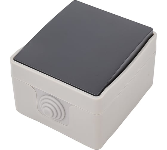 Изображение товара Выключатель одноклавишный ARTSUN накладной PRO SW 10-1-W/B