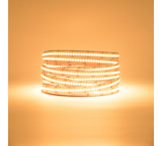 Изображение товара Светодиодная лента General Lighting Systems GLS-2835-240-19.2-12-IP20-3, 5 метров, 19,2Вт/м, 12В,SMD2835, 10мм, 16Лм/чип, IP20,3000К - теплый белый 501050