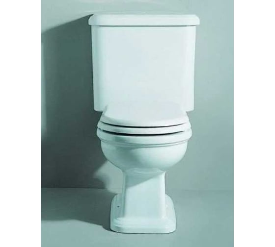 Изображение товара Напольный унитаз Flaminia Efi 740x350хh385 мм, выпуск в стену P, керамика, цвет белый 6002 FlaMinia