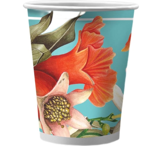 Изображение товара Набор бумажных стаканов ND Play Гранат на бирюзовом 250 мл, 6 шт 303599