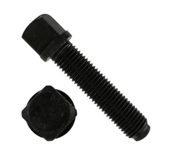 Изображение товара Винт ЦКИ установочный, DIN480 М16x50 10.9 оксидированный, S 17 1 шт. 53608