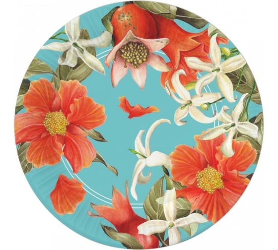 Изображение товара Набор бумажных тарелок ND Play Гранат на бирюзовом 6 шт, 230 мм 303601