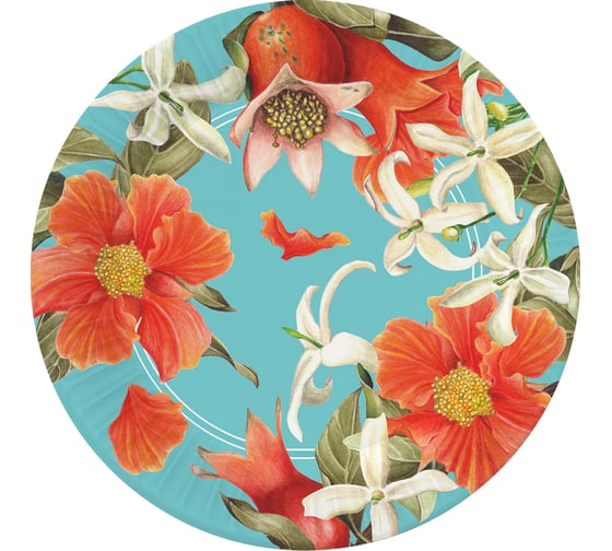 Изображение товара Набор бумажных тарелок ND Play Гранат на бирюзовом в т/у пленке, 6 шт, 230 мм 303926