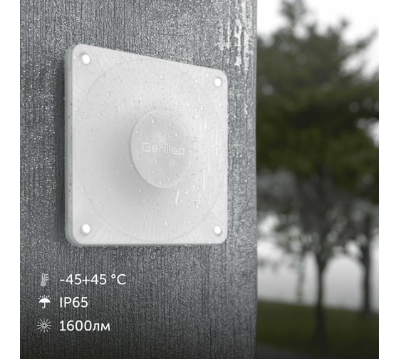 Изображение товара Светодиодный светильник Geniled настенный уличный для сада и дачи / естественный белый свет 4200К / 15 Вт / 1600 Лм / влагостойкий IP65 / вандалоустойчивый / от сети 220 В 8219 08219