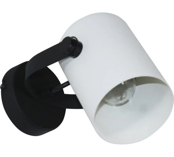 Изображение товара Светильник настенный ЭЛЕТЕХ Гамма 1005405350