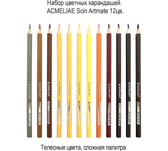 Изображение товара Набор цветных телесных карандашей ACMELIAE Skin Artmate 12 цветов в картонном футляре 8802