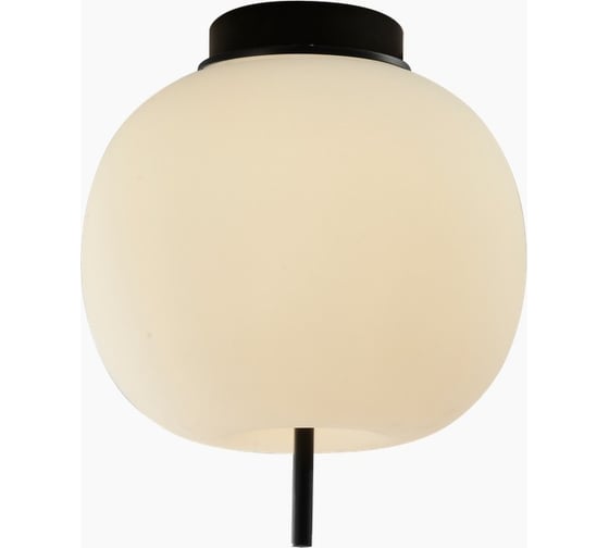 Изображение товара Потолочный светильник светодиодный Elvan 9326-13W-3000K-BkWh черный PD-9326-13W-WW-BkWh