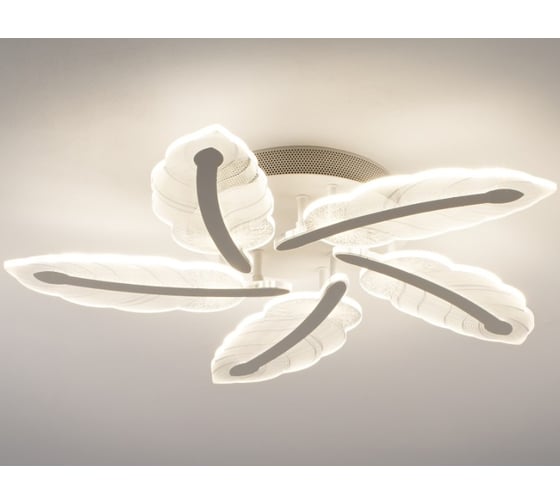 Изображение товара Светильник потолочный Moderli светодиодный Bay V10702-CL