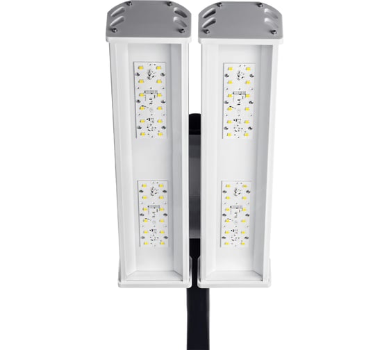 Изображение товара Консольный светодиодный светильник Grad Master GM C180-72-TE-R4-143-CG-65-L00-K (2 модуля) 180Вт 5000К IP65 7GM-C180-GNL-50-K-65/2M