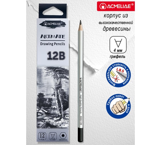 Изображение товара Карандаш чернографитный ACMELIAE 12 шт 12B шестигранный, корпус серебряный 8000-12B EAN