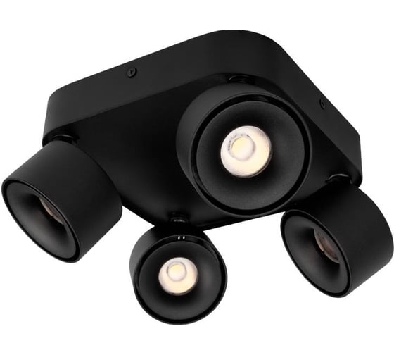Изображение товара Накладной светильник LOFT IT Case 10326 Black