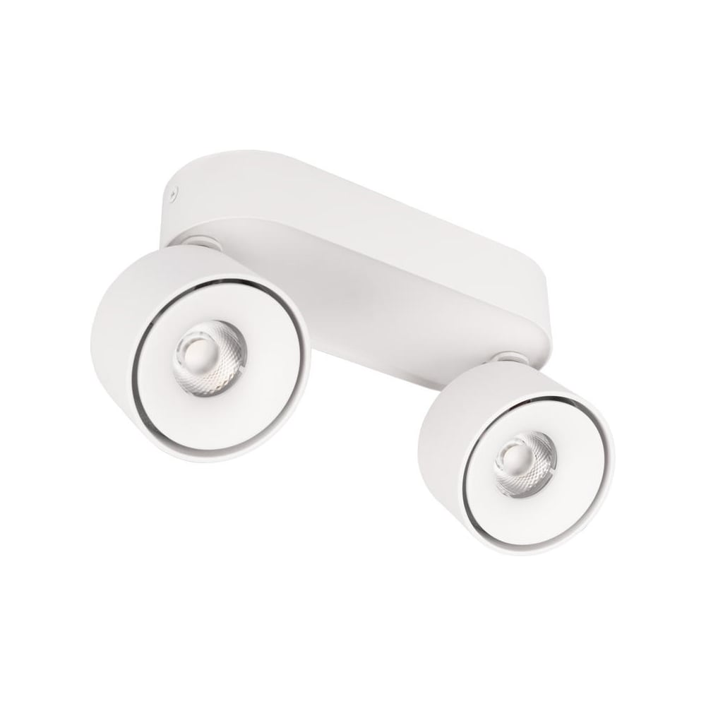 Изображение товара Накладной светильник LOFT IT Focus 10323/2A White для потолка