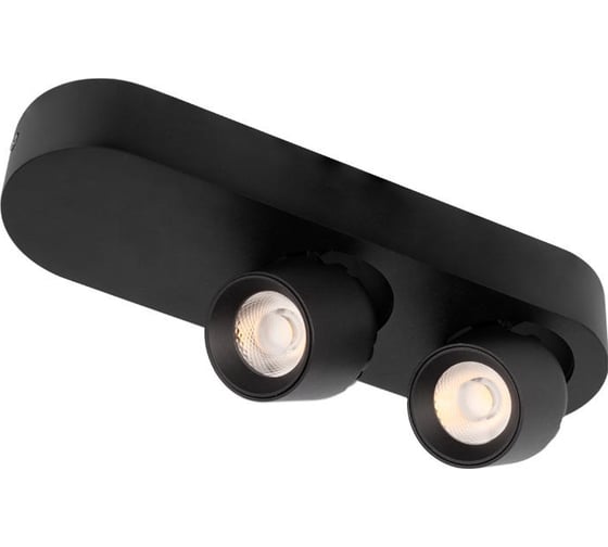 Изображение товара Накладной светильник LOFT IT Quiet 10320/2 Black