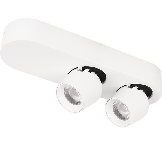 Изображение товара Накладной светильник LOFT IT Quiet 10320/2 White