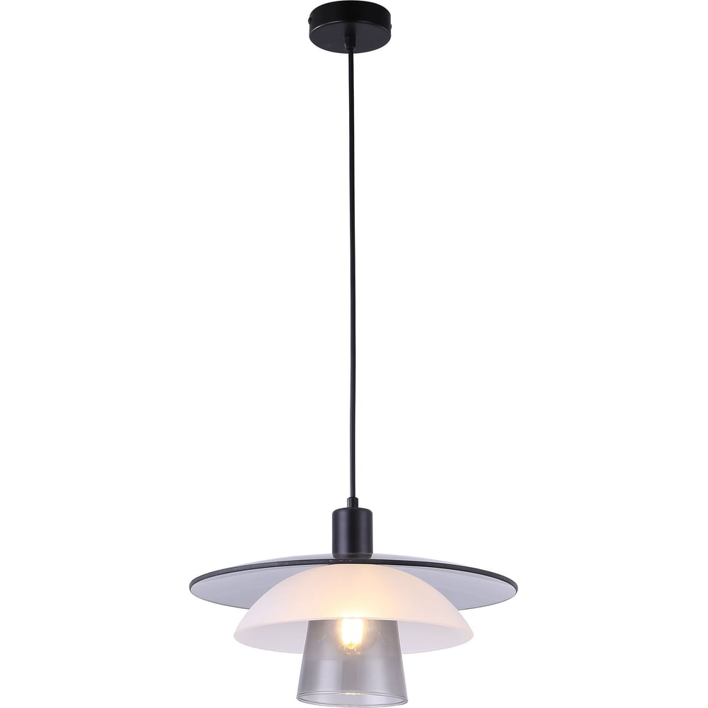 Изображение товара Подвесной светильник Moderli Sydney с поворотным плафоном и трансформатором