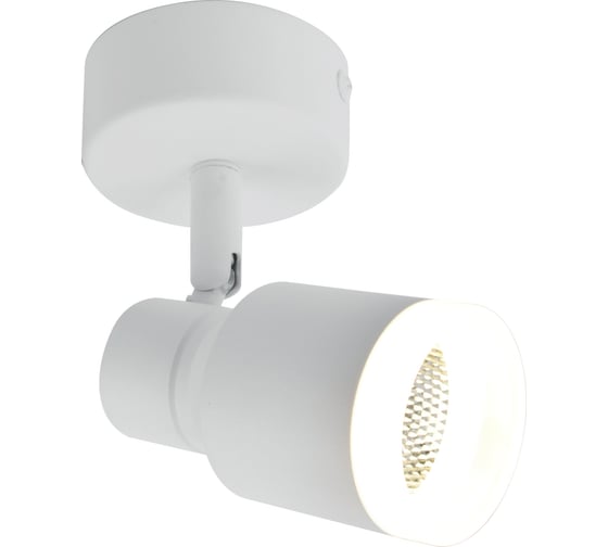 Изображение товара Cветильник светодиодный накладной поворотный Elvan 1202-5W-4000K-Wh белый NLS-1202-5W-NH-Wh